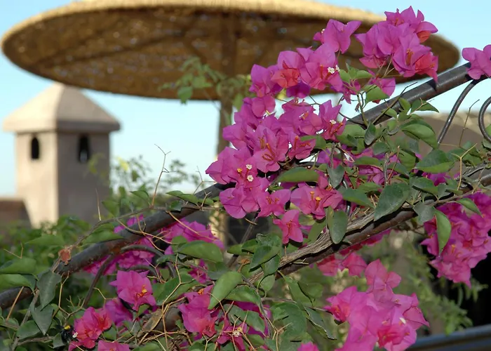 Riad Mehdia